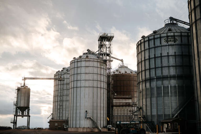 Looking up at the Stoltzfus Grain silos from ground level