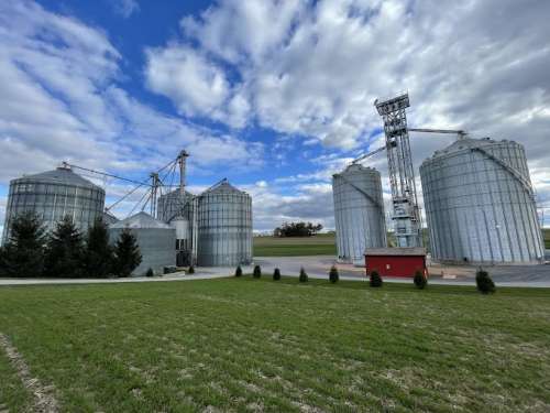 Standing in the field looking at the silos